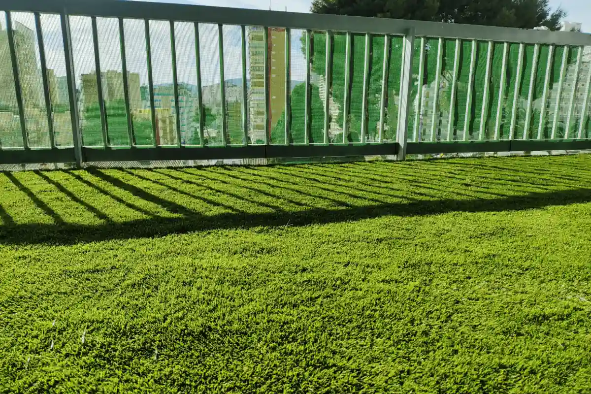 Instalacion en Benidorm con Pacifico 27