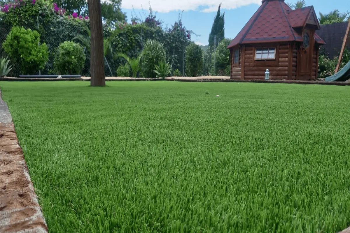 Cesped artificial en Jalon